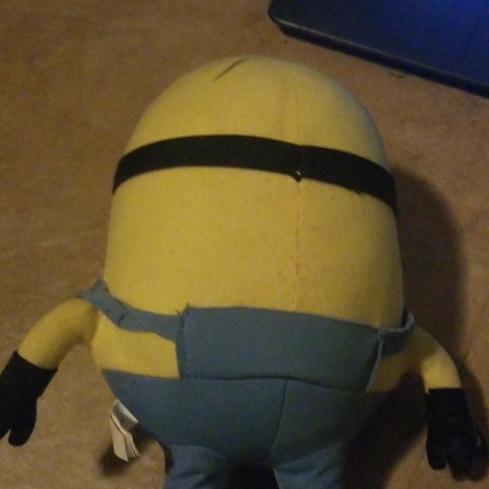 Minion - Picture 2 of 2